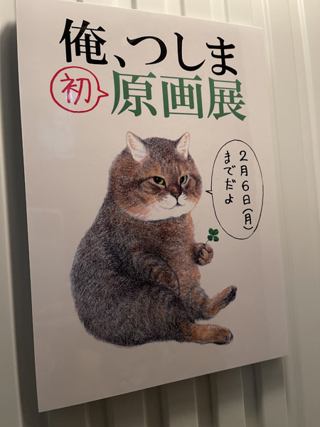 猫店員が働く猫の本だけ集めた本屋さんで『俺、つしま』原画展　猫とお金の本も