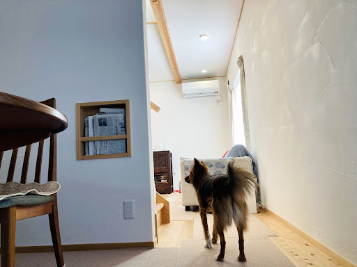 ダイニングからリビングをのぞむ写真で、部屋の間に扉はなく、天井部まで解放された作り。ふさふさのしっぽの犬が部屋の間にたたずんでいる。