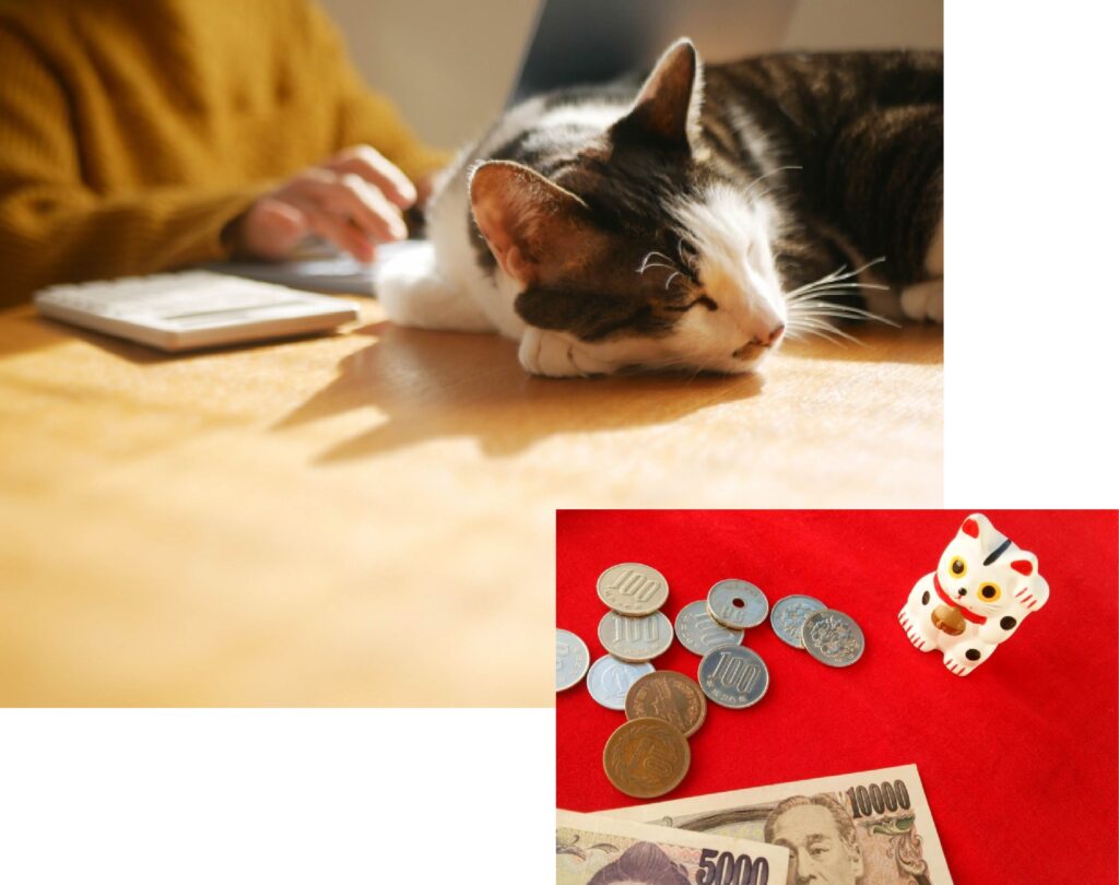家計管理と猫イメージ写真